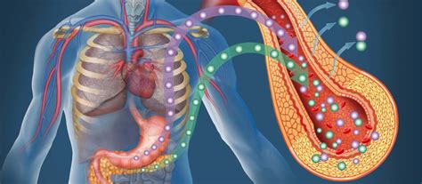 Endocrinology - Hospital Amrtidhara, Karnal