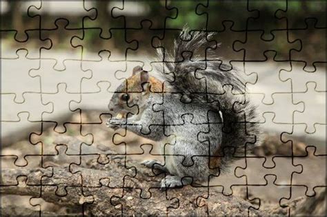 Eichh Rnchen Puzzle Jspuzzles