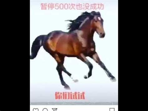Снкм - YouTube