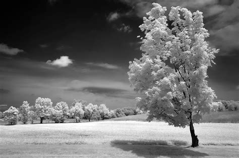 The World In Infrared Designroom