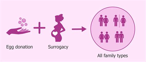 What S Gestational Surrogacy With Egg Donation Cost Success