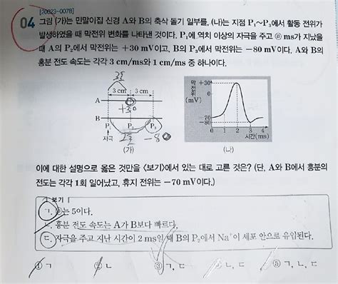 2021 수능특강 생명과학1 자극의 전달 신경 전도 문제 해설과 정답