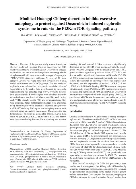 PDF Modified Huangqi Chifeng Decoction Inhibits Excessive Autophagy