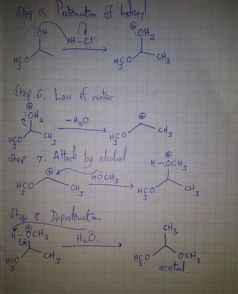 Solved Write The Mechanism For The Acid Catalyzed Acetal Formation