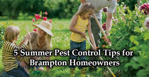 5 Summer Pest Control Tips For Brampton Homeowners Pestong Pest Control