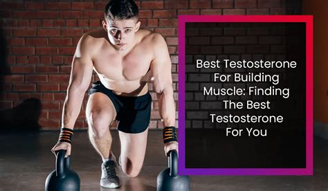 Best Testosterone For Building Muscle Finding The Best Testosterone