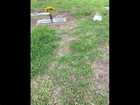 Burial Plot Available For Sale In Restland Funeral Home Buriallink