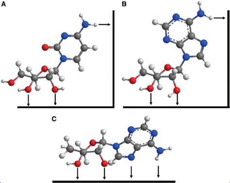 Adsorption Of B D Cytidine A B D Adenosine B And A D Adenosine