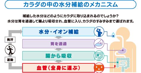 より効果的な水分補給｜大塚製薬