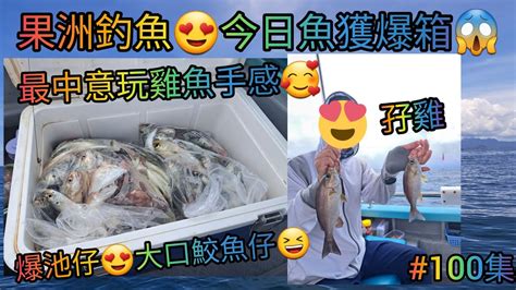 【香港艇釣精華】x 第100集 果洲釣魚魚獲vlog｜今日魚獲爆箱｜極多池魚大口鮫魚仔｜多雞魚｜烏絲｜䱛｜瓜衫｜雜魚｜30 07 2023