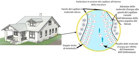 Umidità da risalita le cause la diagnosi e le soluzioni l umidità