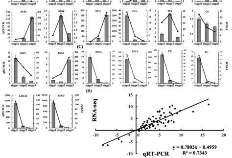 The Qrt Pcr Validation Of Degs The Relative Expression Levels Of 18