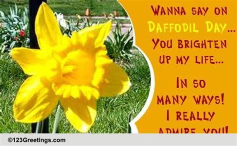 You Brighten Up My Life... Free Daffodil Day eCards, Greeting Cards ...