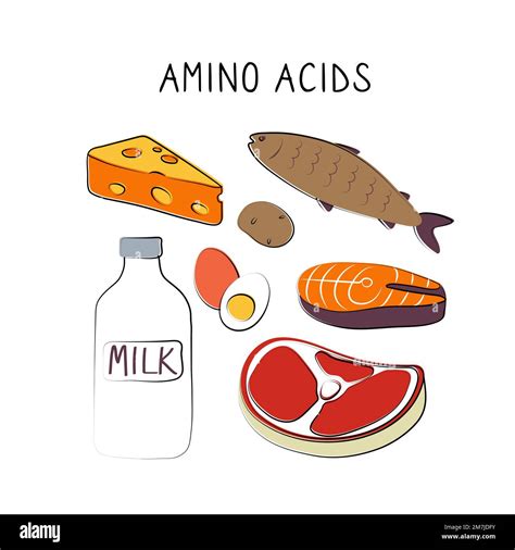 Amino Acids Containing Food Groups Of Healthy Products Containing