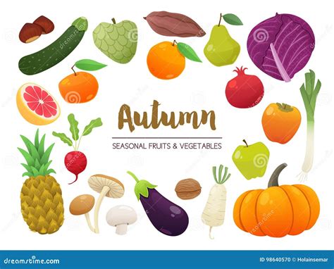 Collection Of Seasonal Fruits And Vegetables Autumn Time Collection