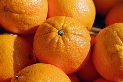 Conoce Todas Las Variedades De Naranjas De Valencia