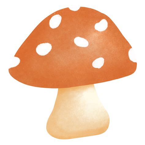 Red Poison Mushroom 28702329 Png