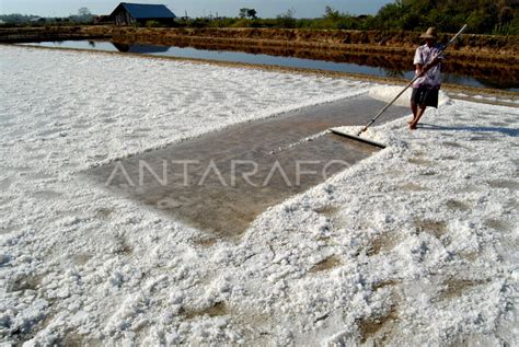 PRODUKSI GARAM MENINGKAT ANTARA Foto