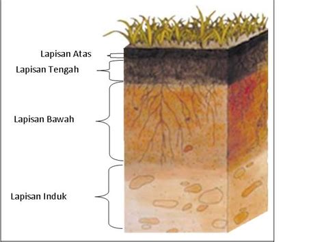 Pgsd Ust Lapisan Tanah