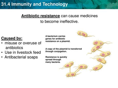 Antiseptics Kill Pathogens Outside Of The Body Ppt Download