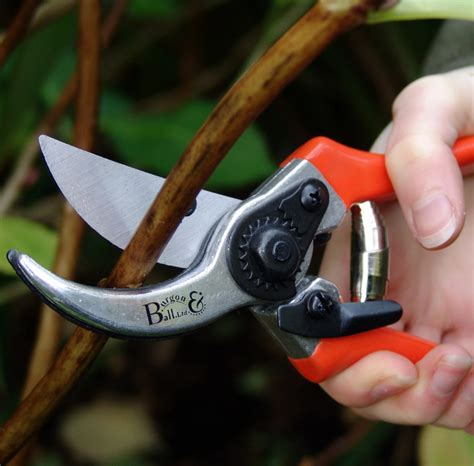 Burgon And Ball Bypass Secateurs Rhs Endorsed Gtosc Burgon And Ball