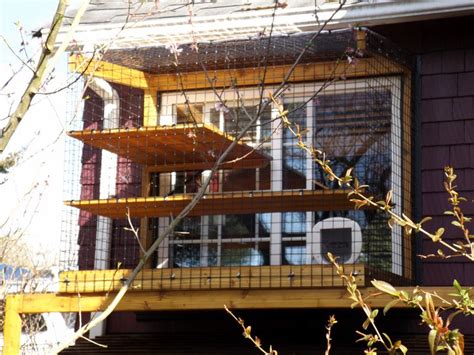 A Bird Cage Sitting On The Side Of A Building