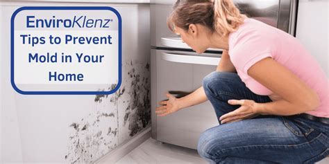 Tips To Prevent Mold In Your Home Enviroklenz