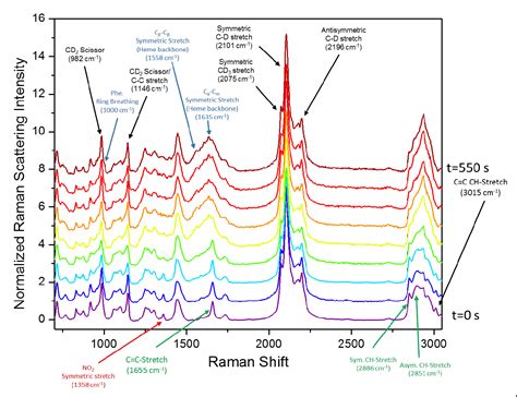 Raman Spectroscopy Reveals Selective Interactions Of Cytochrome C With