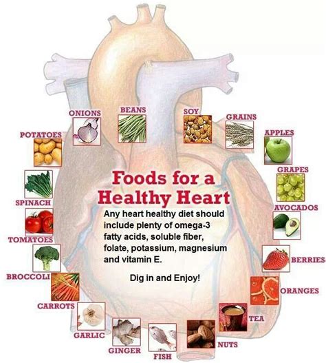 Any Beef In A Heart Healthy Diet - healthy diet food for pregnant