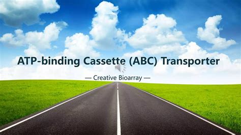 Atp Binding Cassette Abc Transporter Ppt