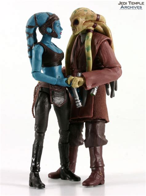 Aayla Secura And Kit Fisto