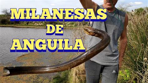 Milanesas De Anguila En Pesca En Agua Dulce Youtube