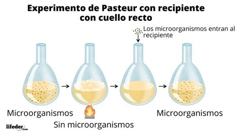 Generaci N Espont Nea Historia Propuestas Experimentos