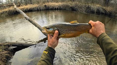 Wisconsin Trout Fishing 4112024 Youtube