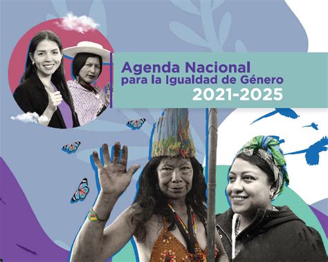 Agenda Nacional Para La Igualdad De G Nero Anig Consejo