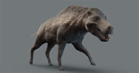 Entelodont: The Prehistoric "Hell Pig" That Weighed 2,000 Pounds