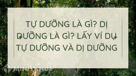 Tự dưỡng là gì Dị dưỡng là gì Lấy ví dụ tự dưỡng và dị dưỡng