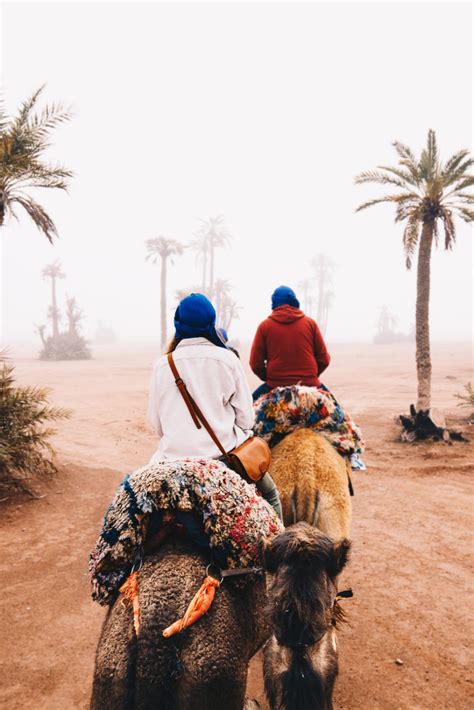 Visiter Marrakech En Semaine Les Incontournables Visiter