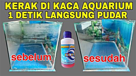 Cara Membersihkan Kerak Di Kaca Aquarium Alat Pembersih Kerak Di Kaca