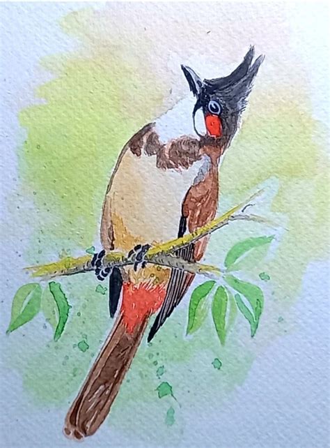 Chim Chào Mào | Bird, Watercolor, Youtube