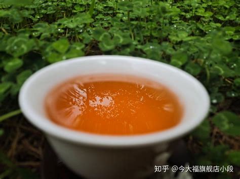 普洱茶的苦涩应该怎么解释呢？ 知乎