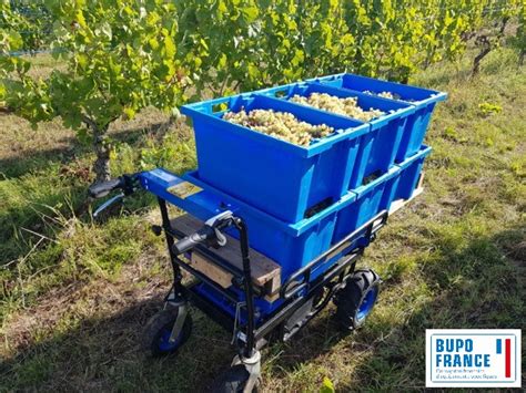 Tem Vigne Bras Porte Outils Universel Pour Tondeuses Et Micro