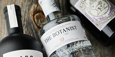 The 13 Best Bottles of Gin You Can Buy