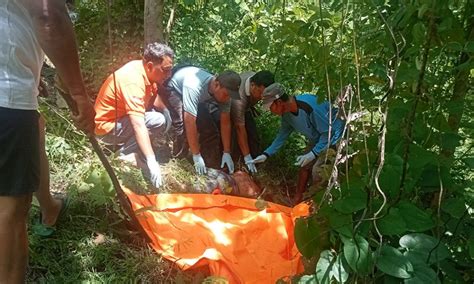 Jasad Pria Tak Dikenal Ditemukan Di Hutan Randualas Jombang Ada Luka