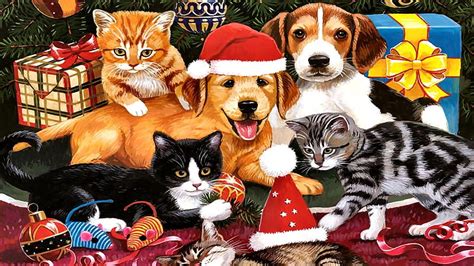 Merry Christmas Katzen Hund Deutschland Weihnachten Hd Wallpaper