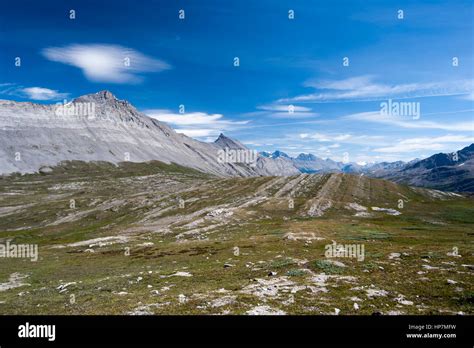 Wilcox Pass Jasper National Park Alberta Canada Stock Photo Alamy