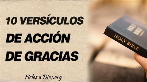 Significado Biblico 10 Poderosos Versiculos De Accion De Gracias