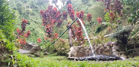 Boiling Lake Titou Gorge And Ti Kwen Glo Cho Just Go Dominica