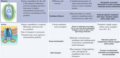 Microbiology Ch 7 Microbial Nutrition Ecology And Growth Flashcards