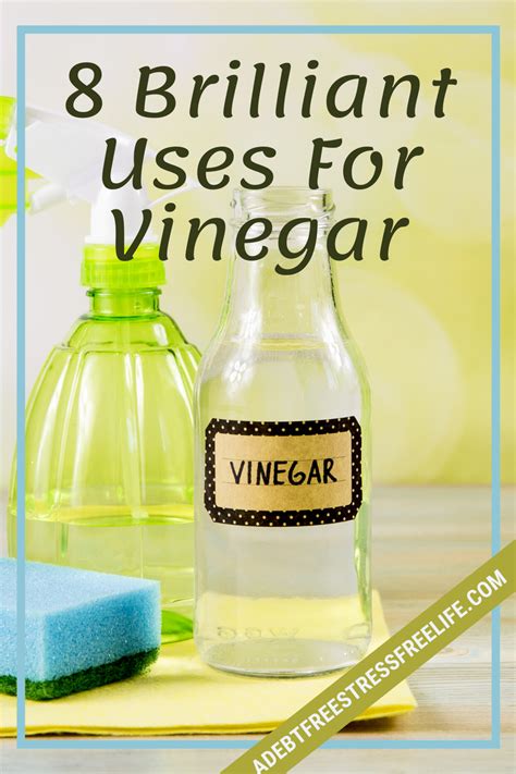 Vinegar Has Many Uses You Probably Never Knew About Vinegar Is An All Purpose Cleaner